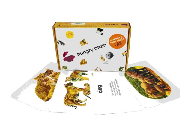 Animals And Their Babies Flashcards