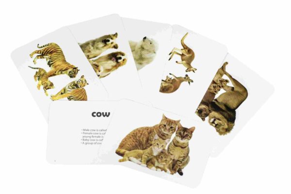 Animals And Their Babies Flashcards - Image 2