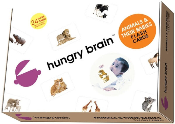 Animals And Their Babies Flashcards - Image 3