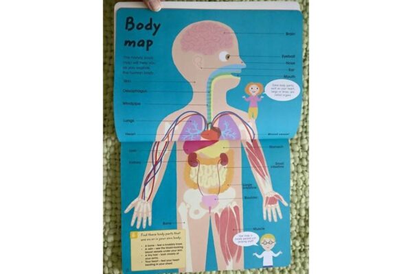 Factivity-Journey Around And Inside Your Amazing Body - Image 6