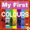 My First Boardbook Maple Leaf Learners-My First Colours