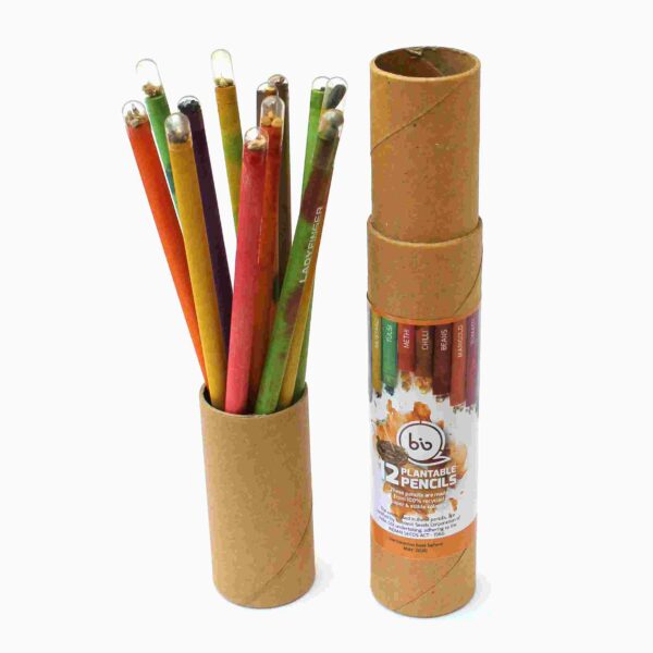 Eco-friendly Plantable Seed Pencils (Box of 12)
