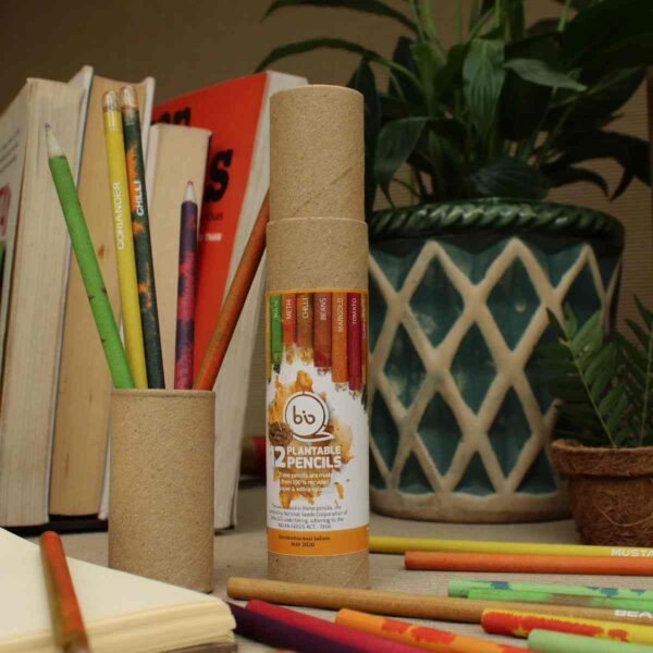 Eco-friendly Plantable Seed Pencils (Box of 12) - Image 3