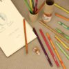 Eco-friendly Plantable Seed Pencils (Box of 12) - Image 4