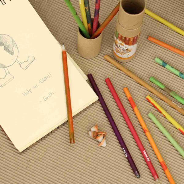 Eco-friendly Plantable Seed Pencils (Box of 12) - Image 4