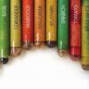 Eco-friendly Plantable Seed Pencils (Box of 12) - Image 5