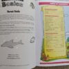 Kindergarten Basics-Basics Series - Image 2