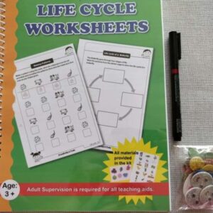 Life Cycle Worksheets With Craft Material
