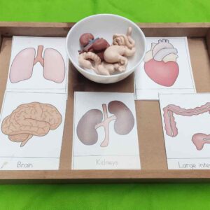 Wooden Tray-Montessori Material