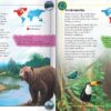 My Incredible Sticker Atlas (4 Books in 1) - Image 3