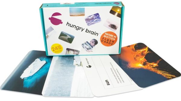 Nature In Motion Flashcards