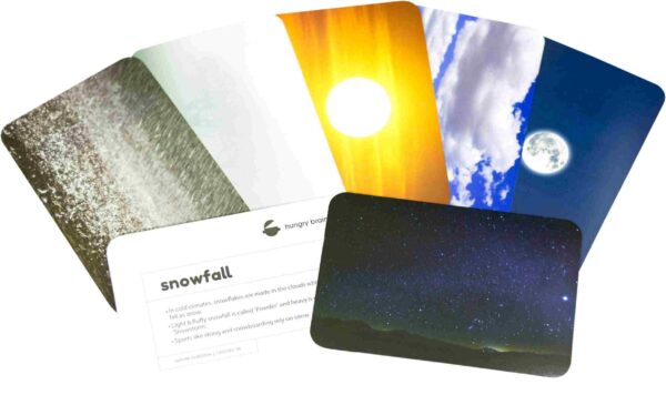 Nature In Motion Flashcards - Image 2