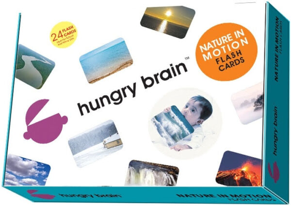 Nature In Motion Flashcards - Image 3