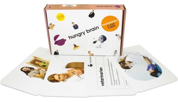 Professionals Flashcards