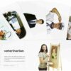 Professionals Flashcards - Image 2