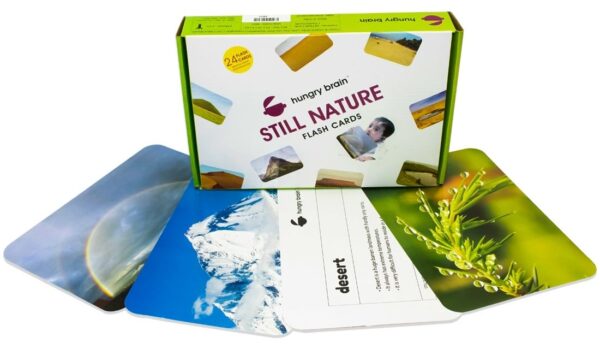 Still Nature Flashcards