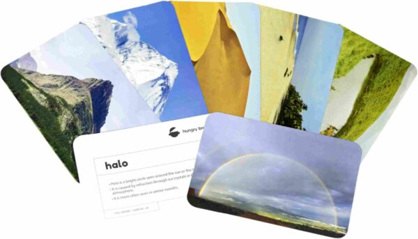 Still Nature Flashcards - Image 3