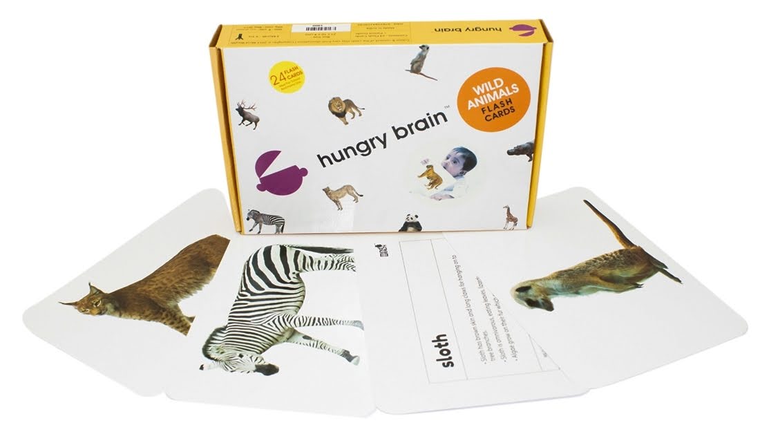 Wild Animals Flashcards Wild Animals Flashcards