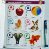 All in One-English Hindi - Image 3
