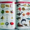 All in One-English Hindi - Image 4