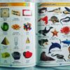 All in One-English Tamil - Image 4