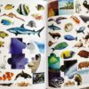 1001 Stickers Amazing Animals - Image 5