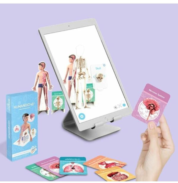 Humanoid 4D+ Flash Cards