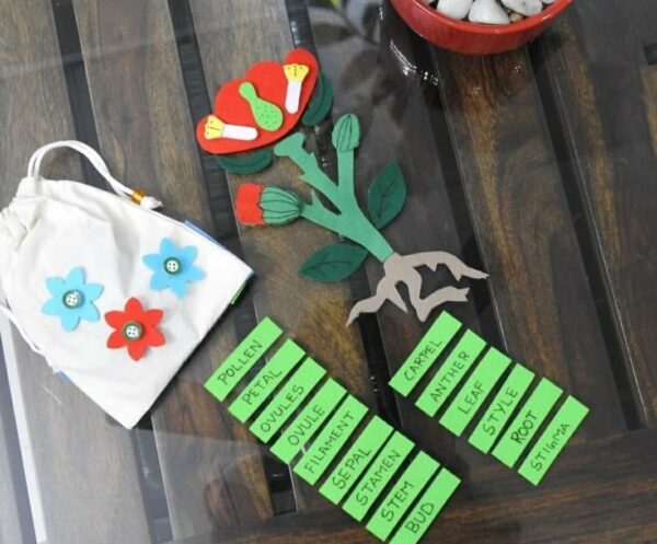 Parts Of Flowers Potli Activity